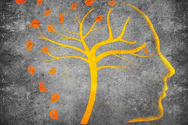 Smart Dementia Care Image